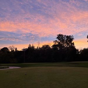 Meet your Posher, Bradley